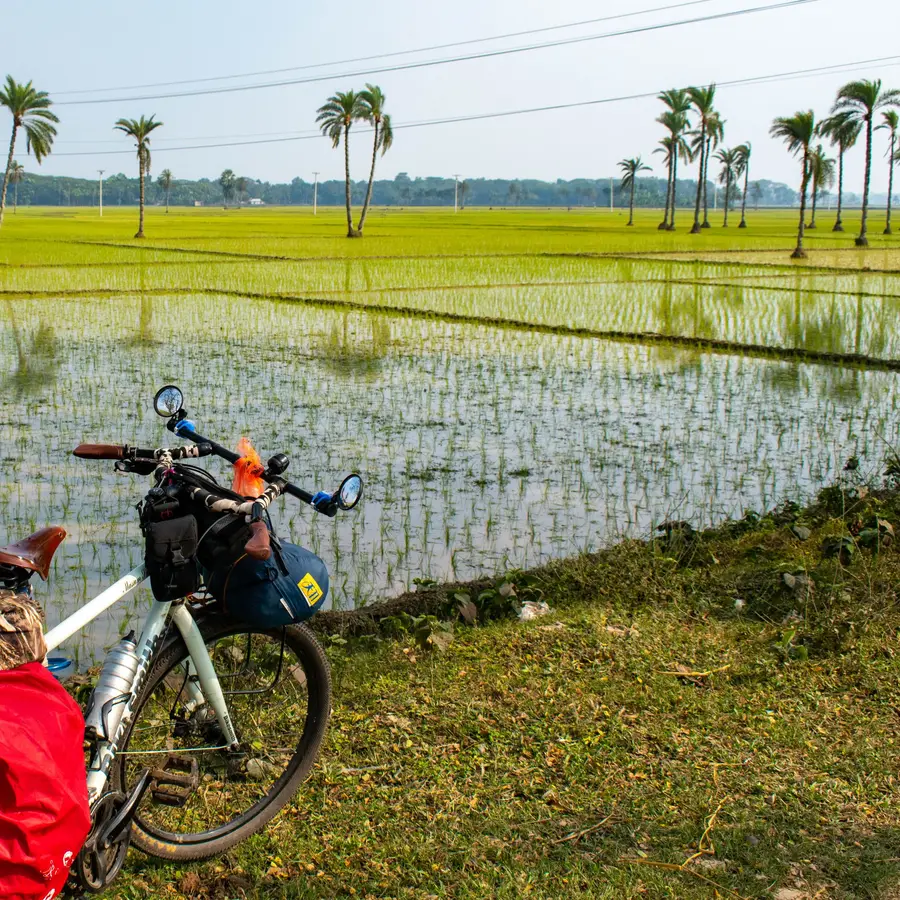 Sepeda terparkir di tepi sawah hijau