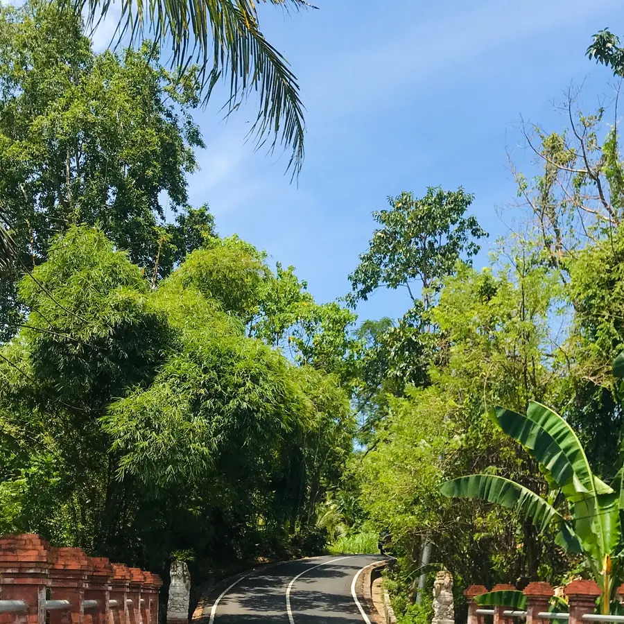 Jalan berkelok di antara bukit hijau di bawah langit biru