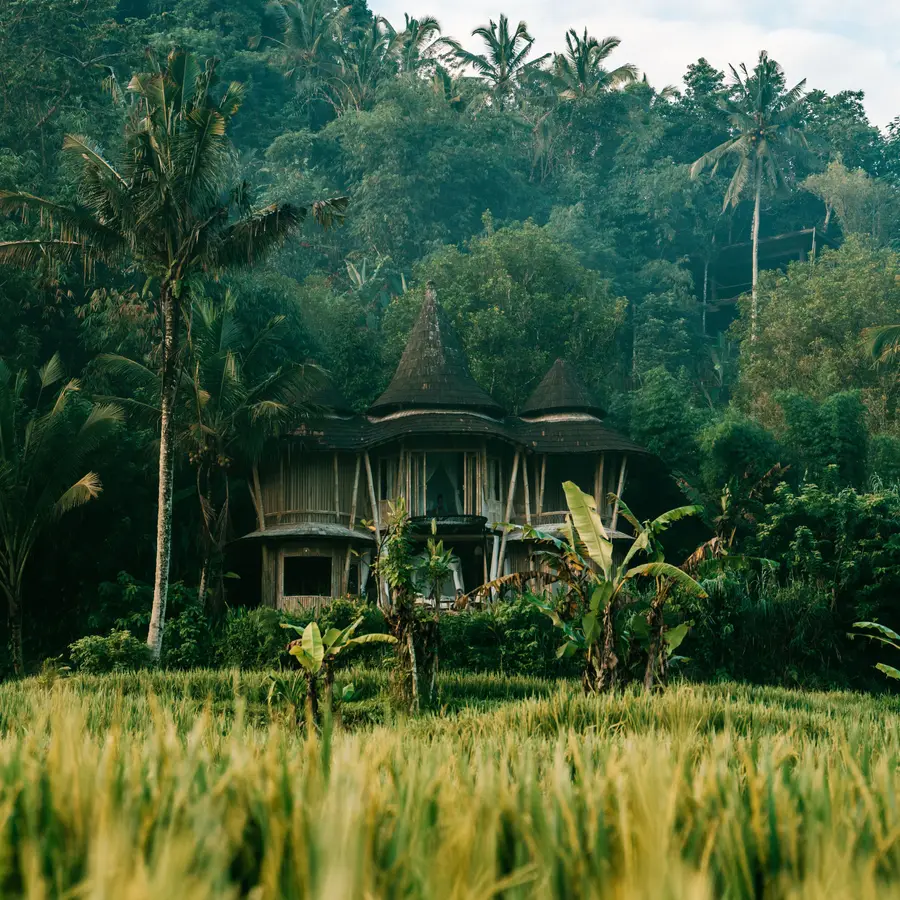 Rumah Bali di tengah sawah hijau