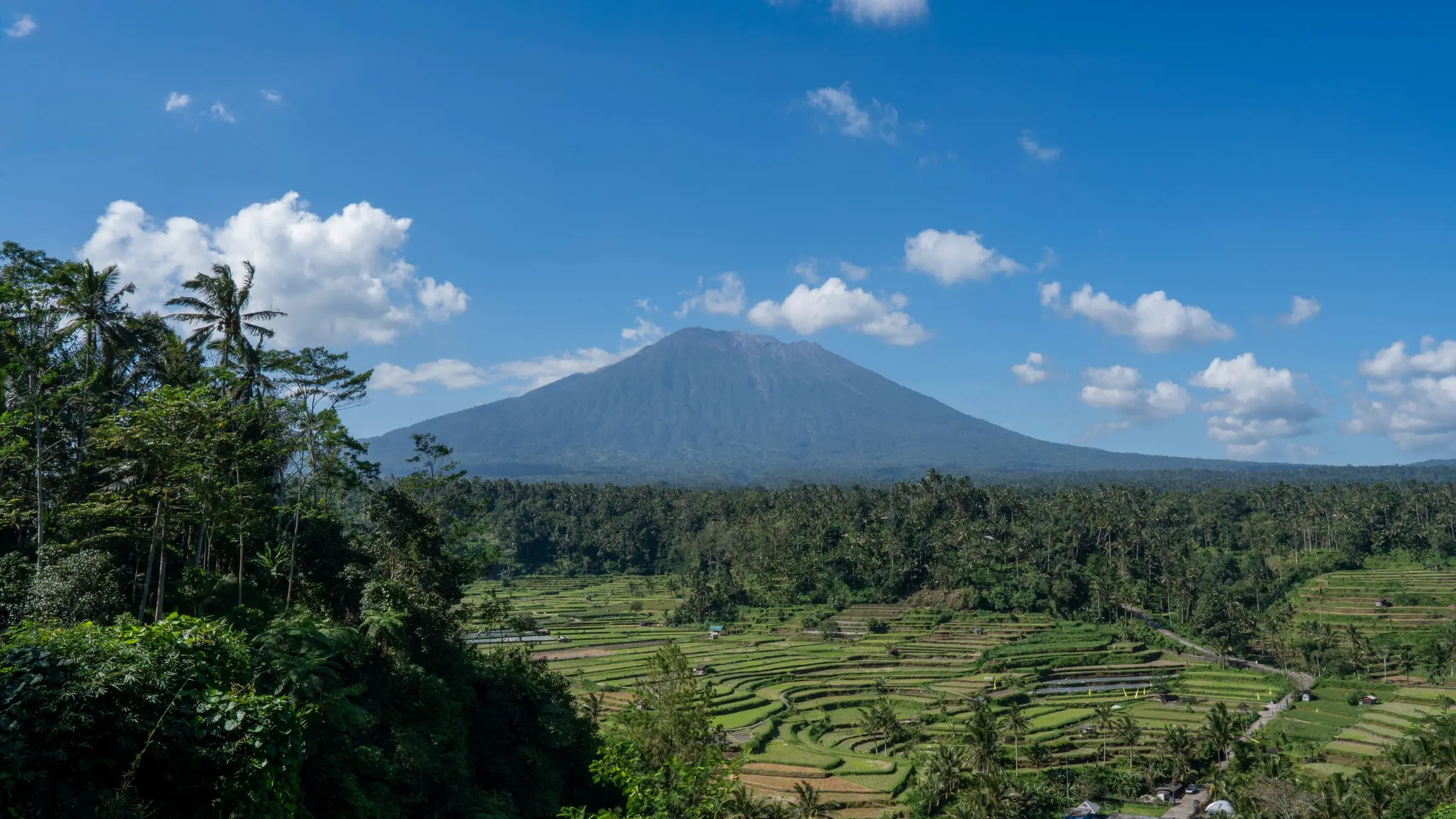 Sawah terasering hijau dengan Gunung Agung di kejauhan