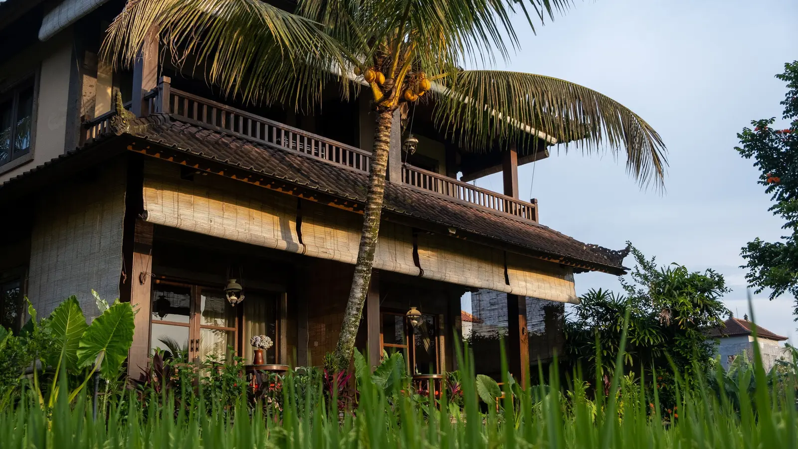 Bangunan bergaya Bali dikelilingi sawah dan pohon kelapa